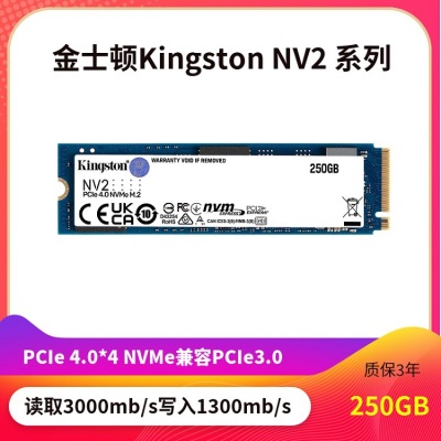NV2-250GB